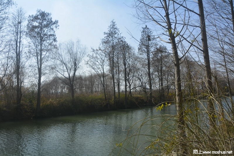 _DSC88410516.JPG