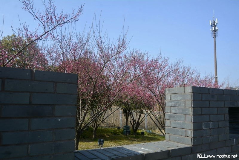 _DSC88680543.JPG