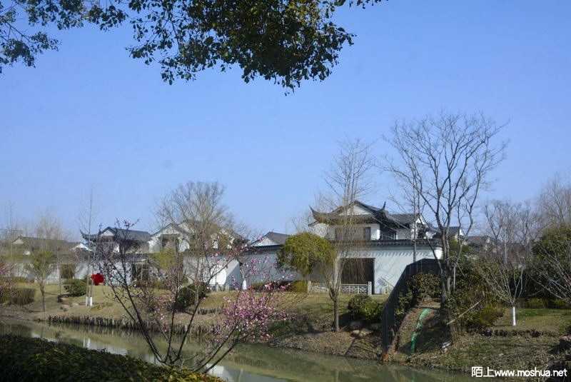 _DSC89060581.JPG