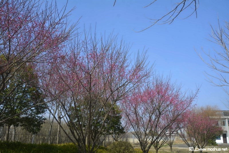 _DSC88820557.JPG