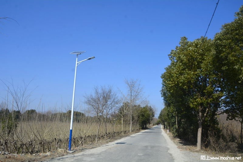 _DSC91280002.JPG
