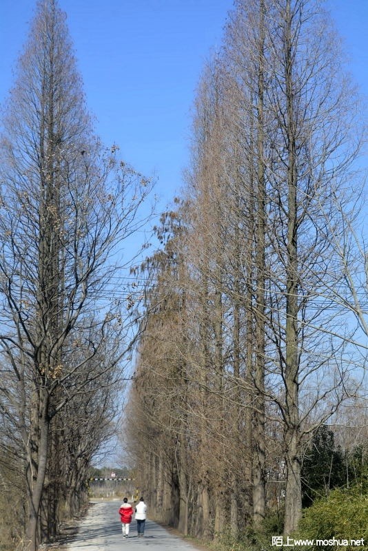_DSC91760050.JPG