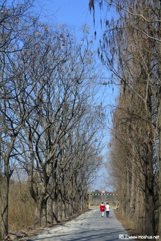 _DSC91780052.JPG