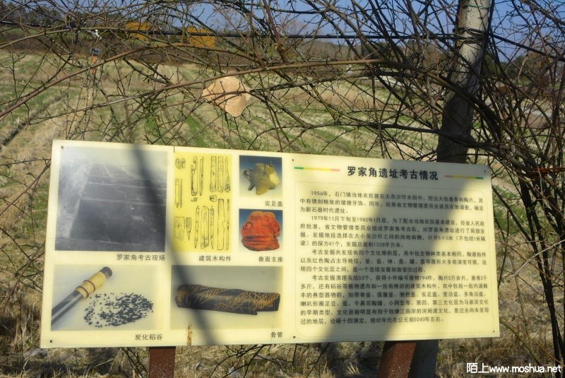 _DSC91920066.JPG