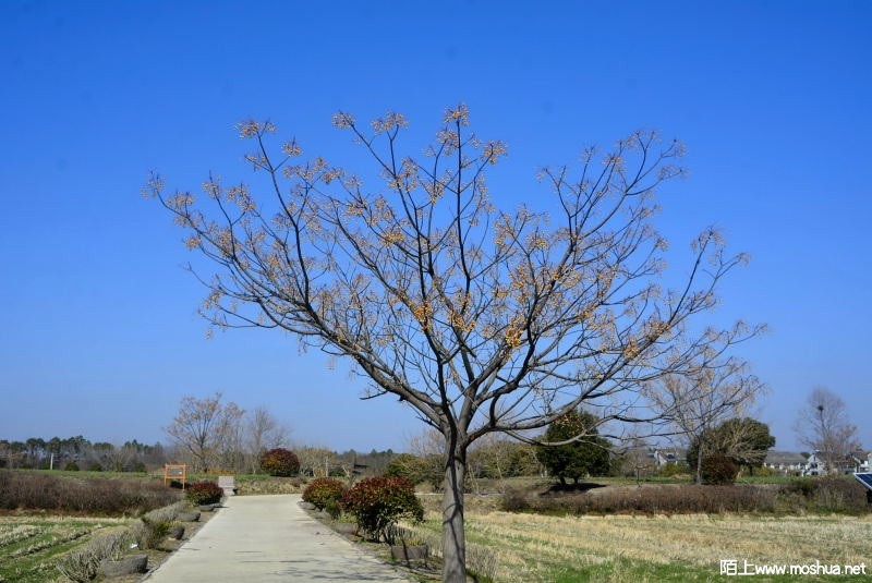 _DSC92020076.JPG