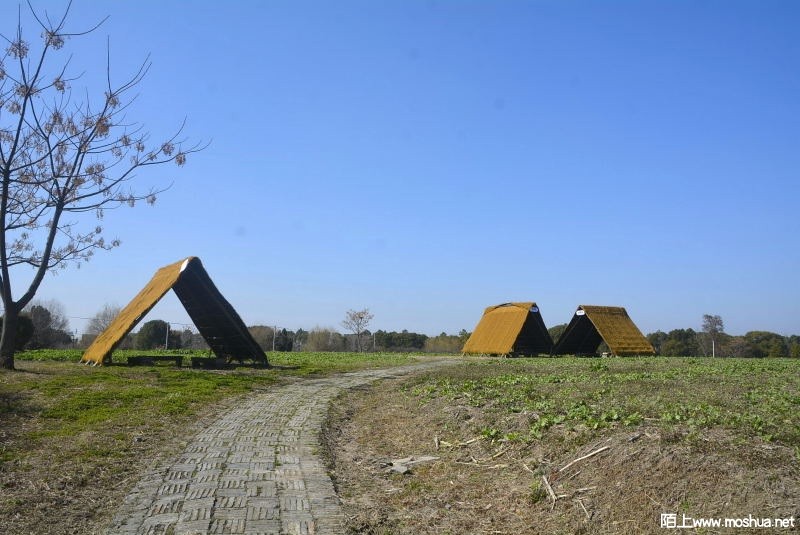 _DSC92130087.JPG