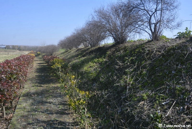 _DSC92290103.JPG