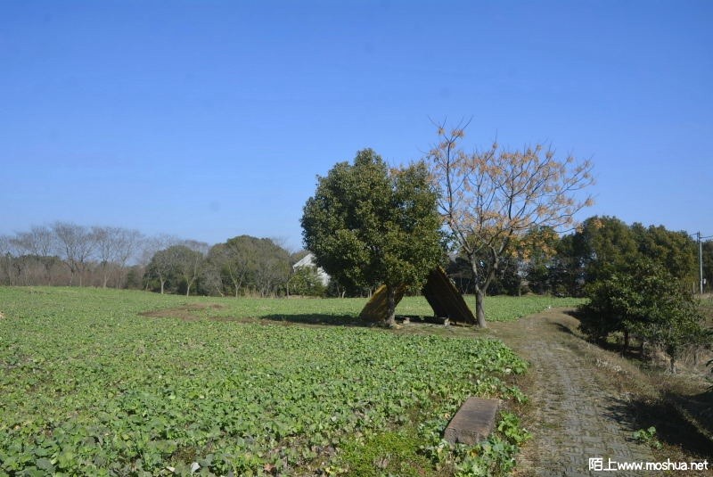 _DSC92410115.JPG
