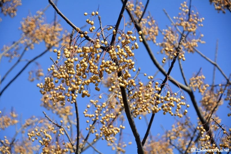 _DSC92790153.JPG