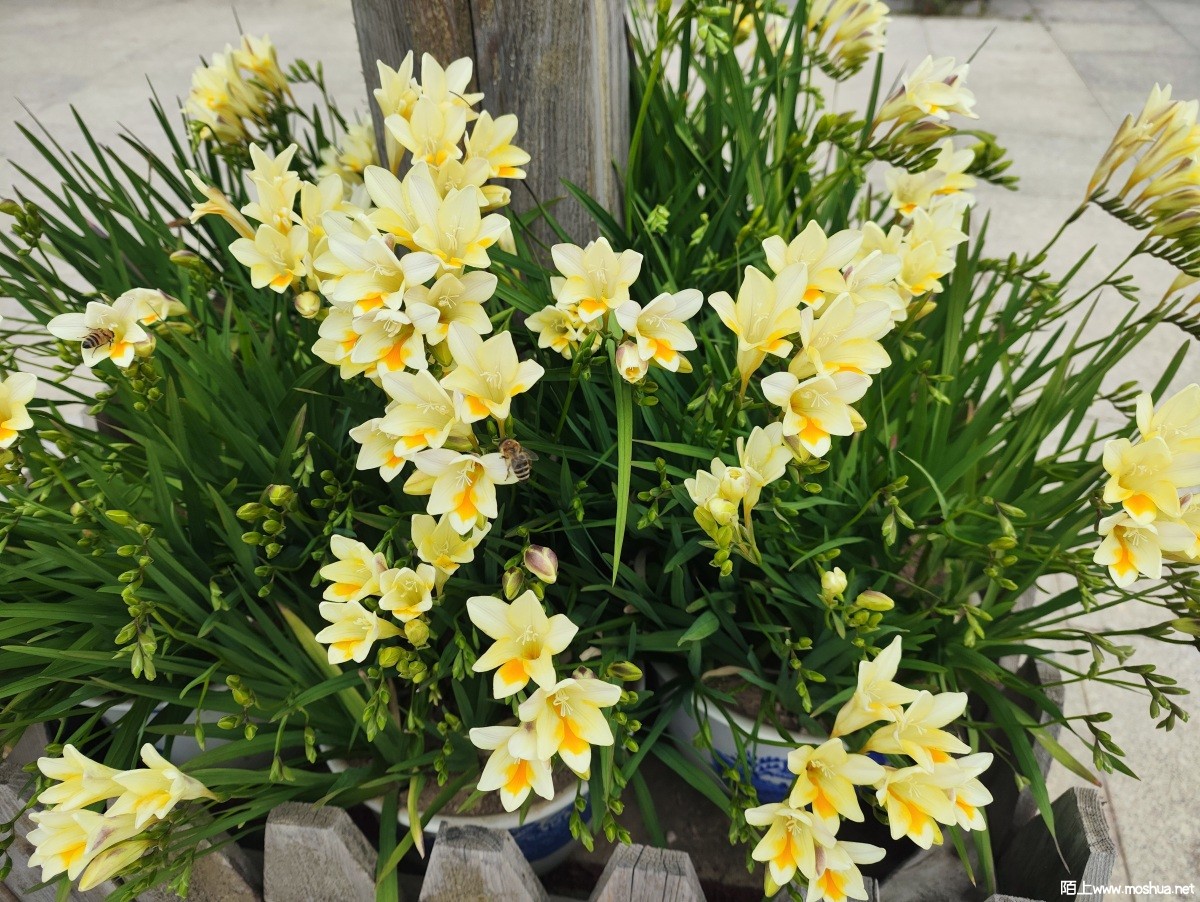 MVIMG_20240229_085059.jpg