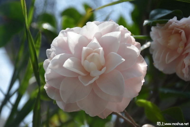DSC_00210021.JPG
