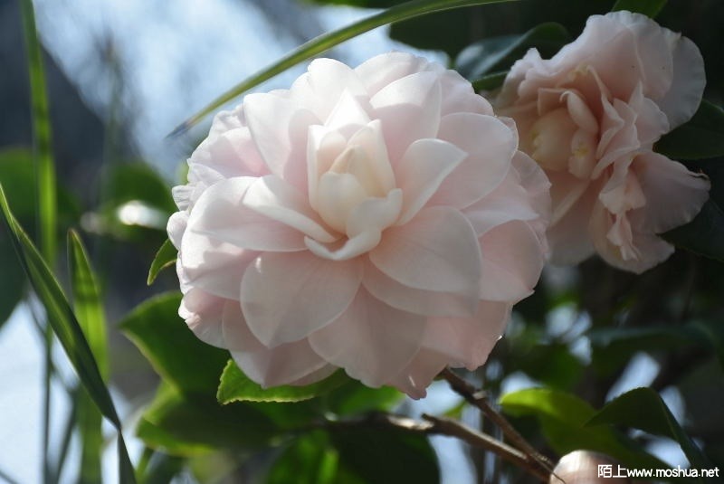 DSC_00170017.JPG