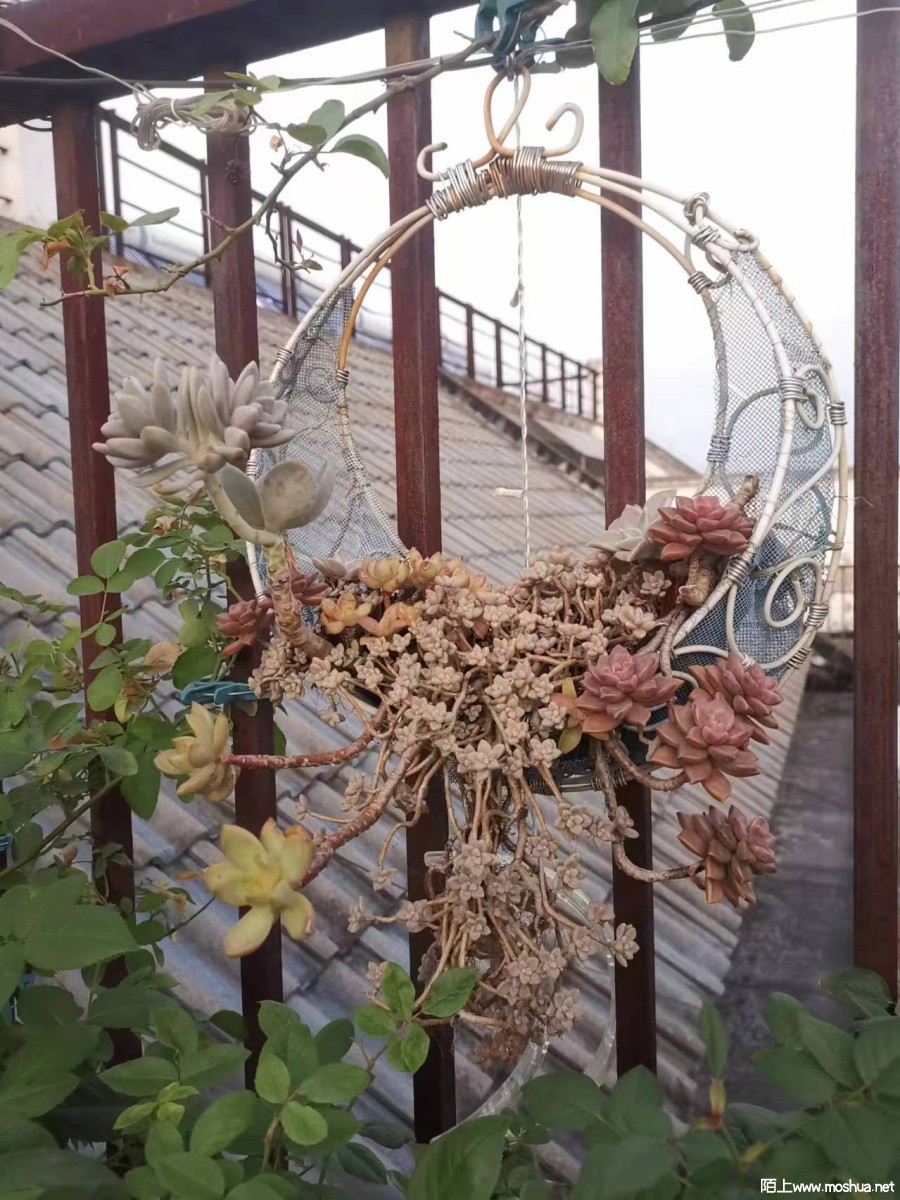 ΢��ͼƬ_20240305102827.jpg