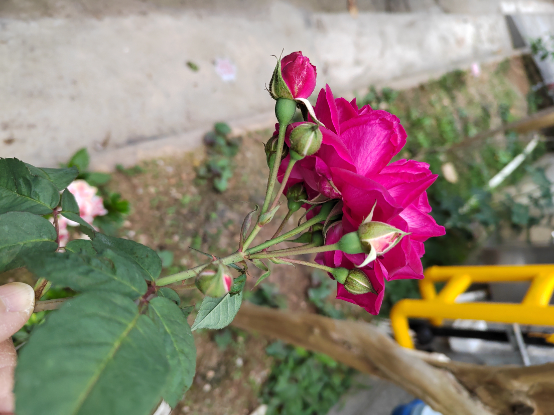IMG_20240323_134846_1.jpg