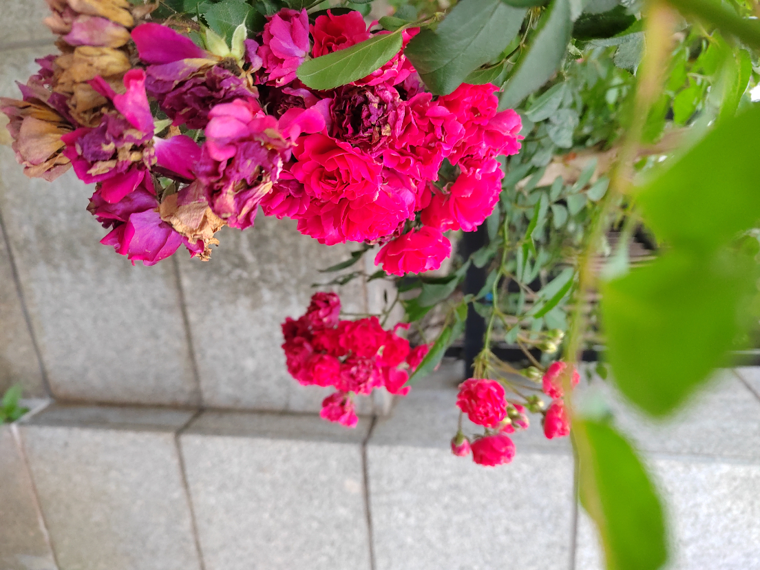 IMG_20240403_174818_1.jpg