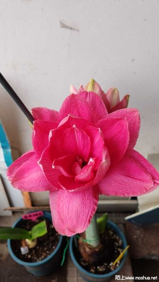 wx_camera_1712188201755.jpg