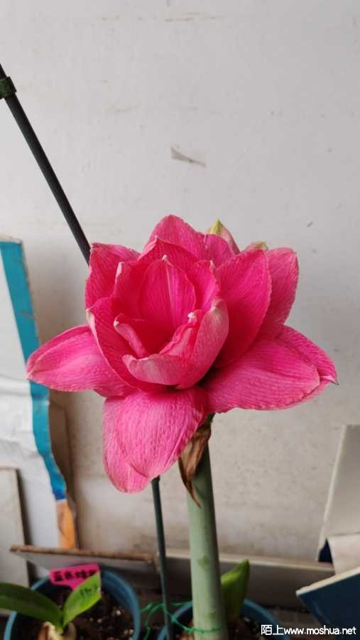 wx_camera_1712188195256.jpg