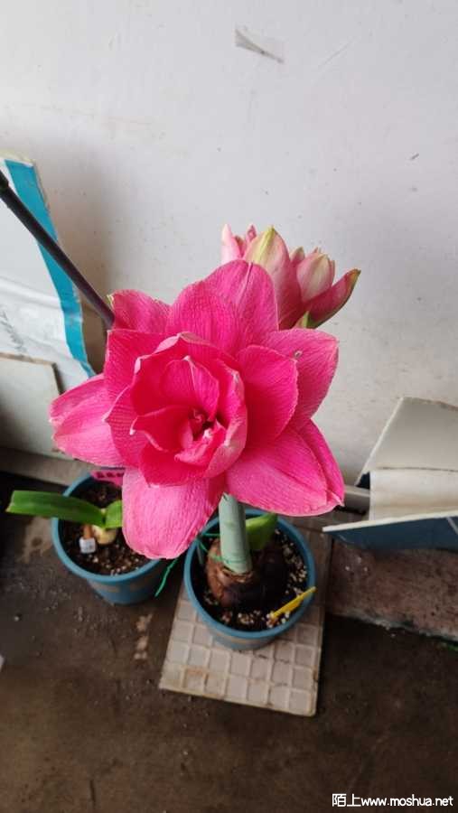 wx_camera_1712188189445.jpg