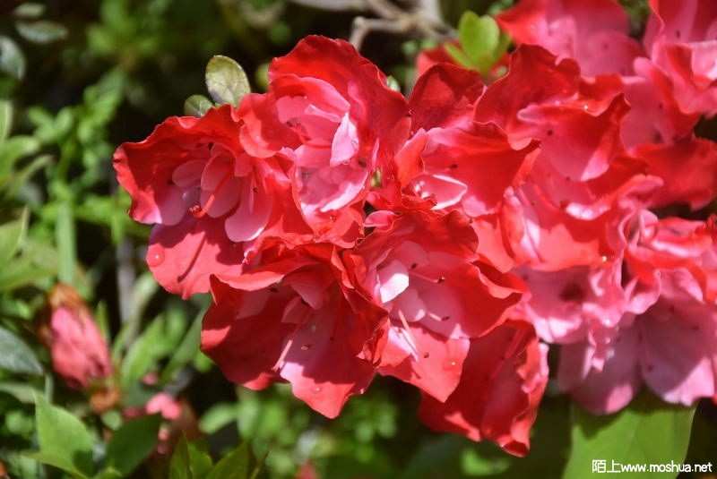 DSC_016912840169.JPG