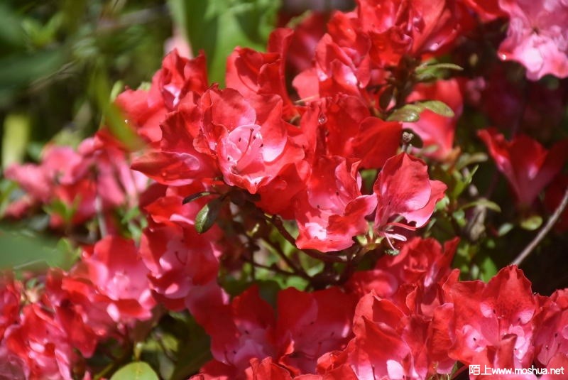 DSC_014412590144.JPG