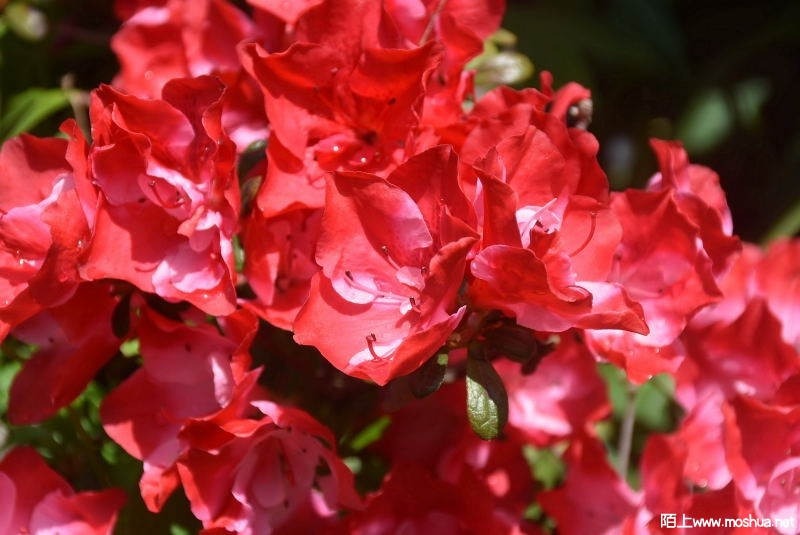 DSC_015912740159.JPG