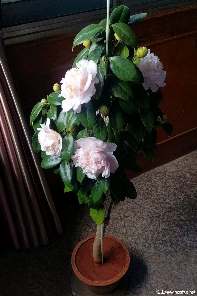 ����֮�� (146).jpg