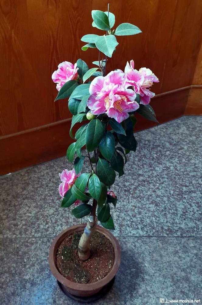 ��Դ�� (27).jpg