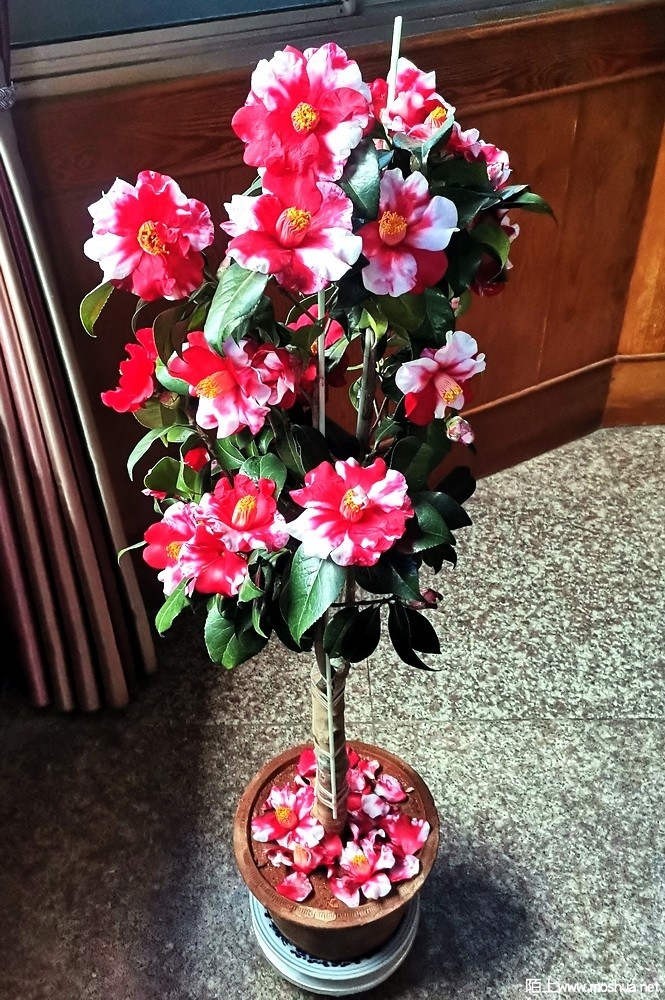 ����֮�� (82).jpg