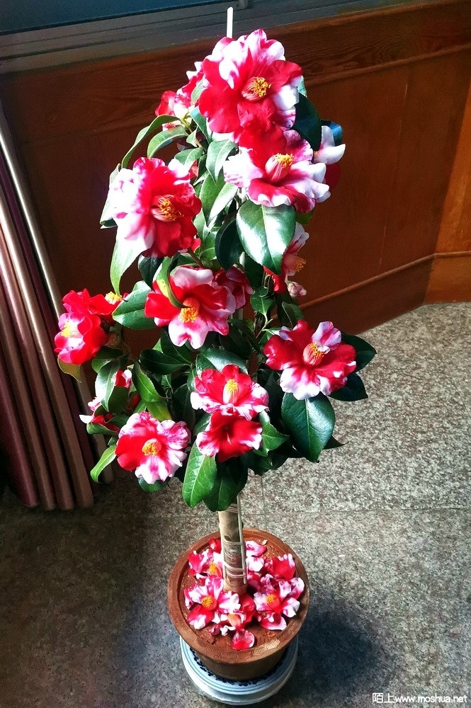 ����֮�� (83).jpg