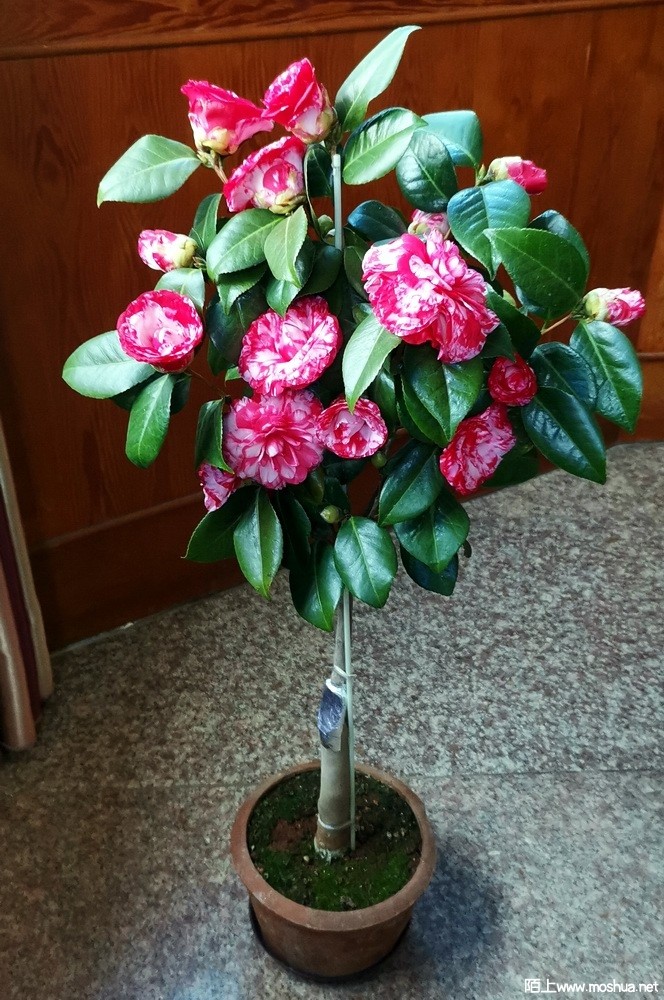 ��ϵ������ (108).jpg