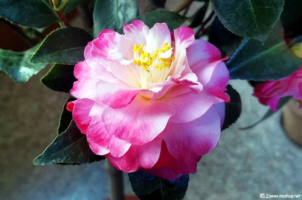 ��ã�Ĵ��� (140).jpg