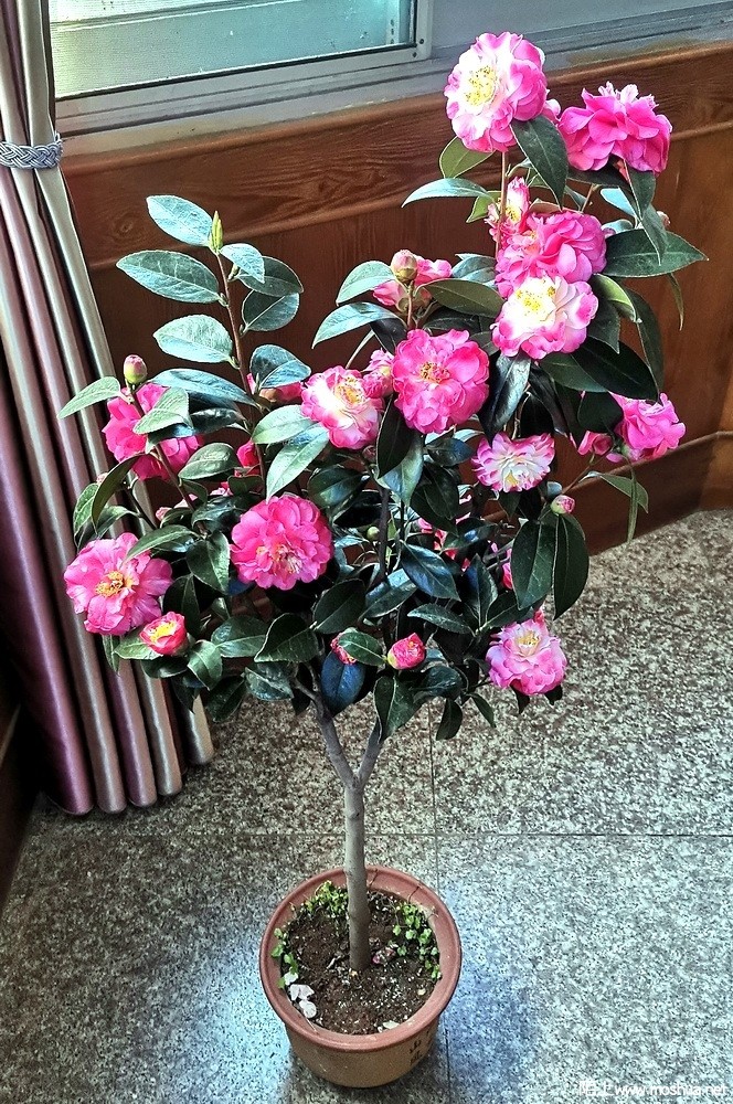 ��ã�Ĵ��� (145).jpg