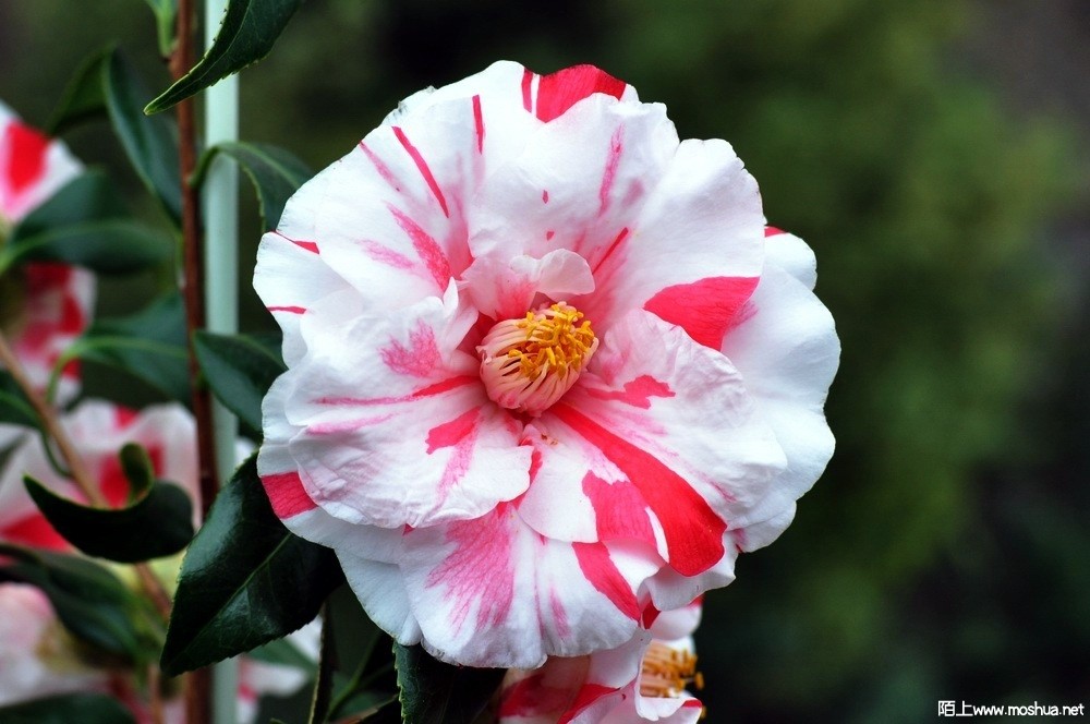 ǧ����� (30).JPG