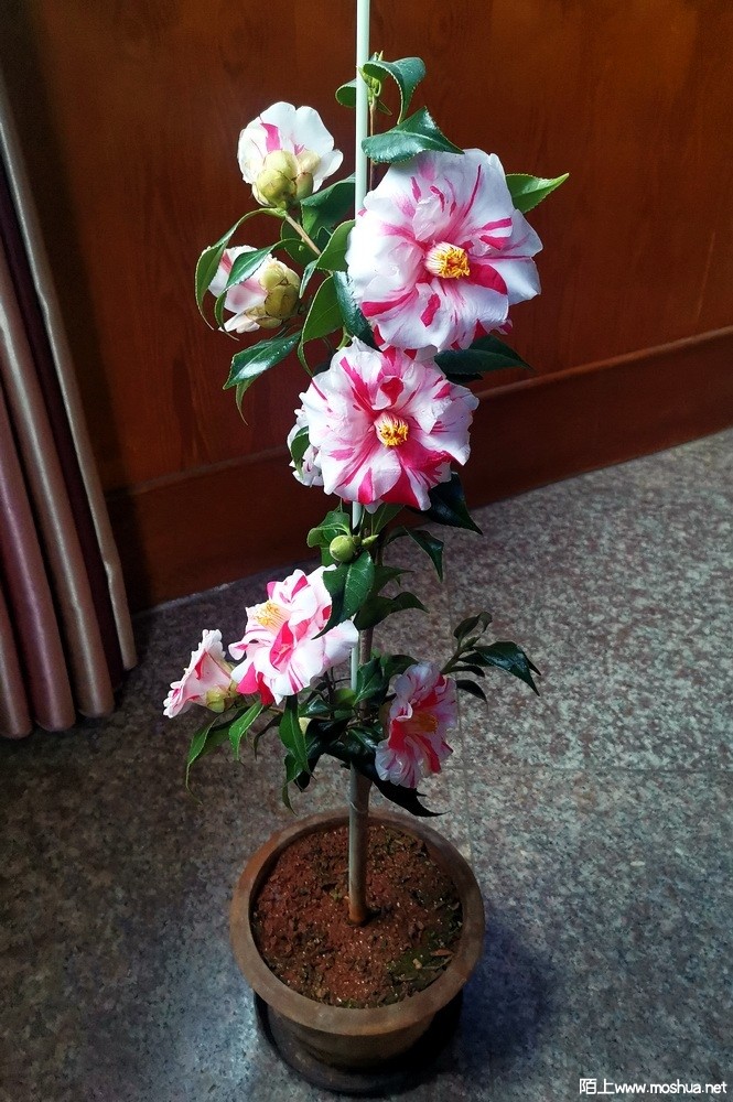 ǧ����� (41).jpg