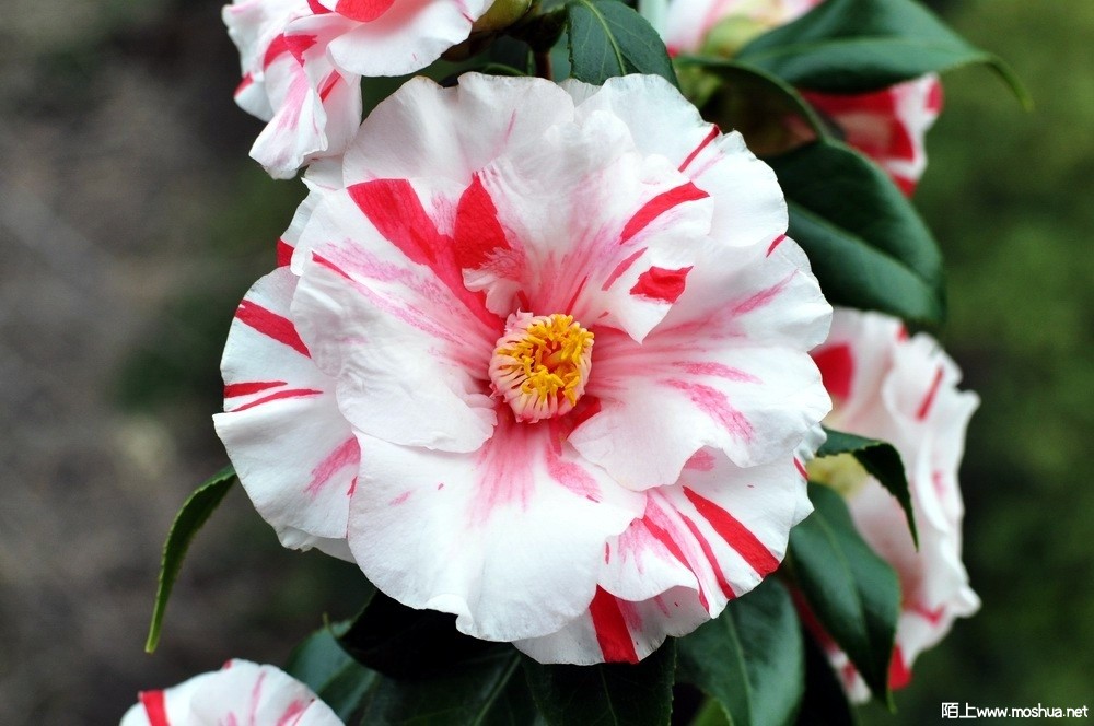 ǧ����� (35).JPG