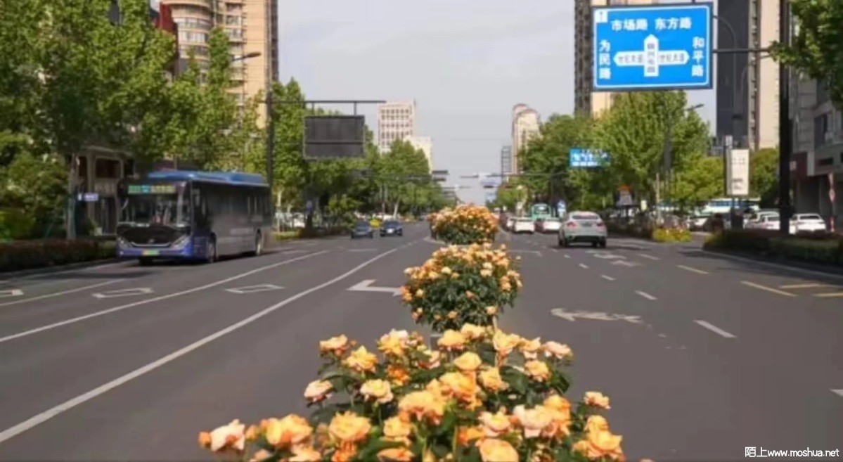΢��ͼƬ_20240429102907.jpg