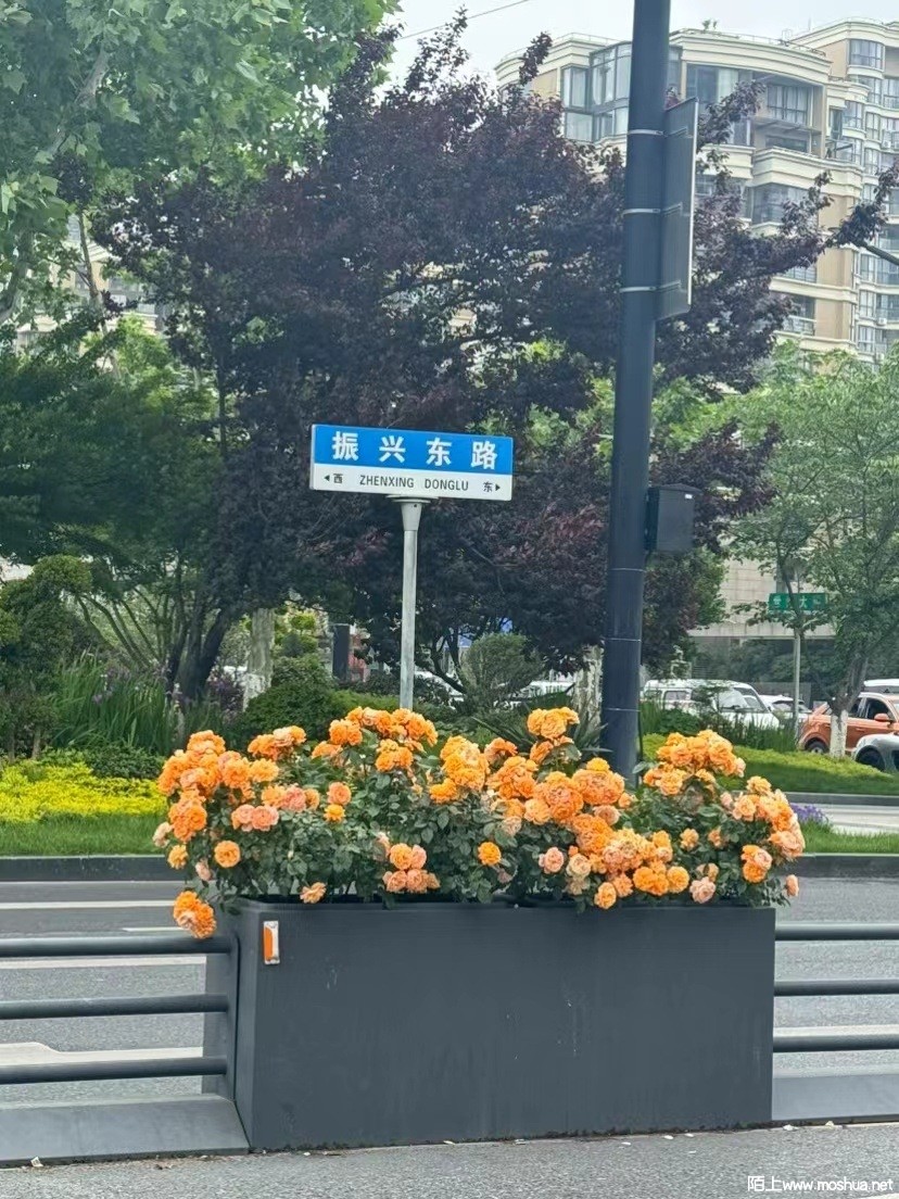 ΢��ͼƬ_20240430115210.jpg