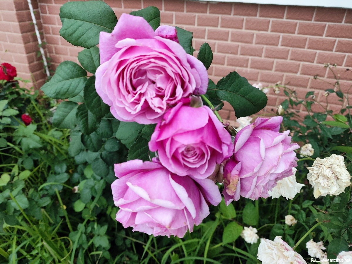 MVIMG_20240504_181822.jpg