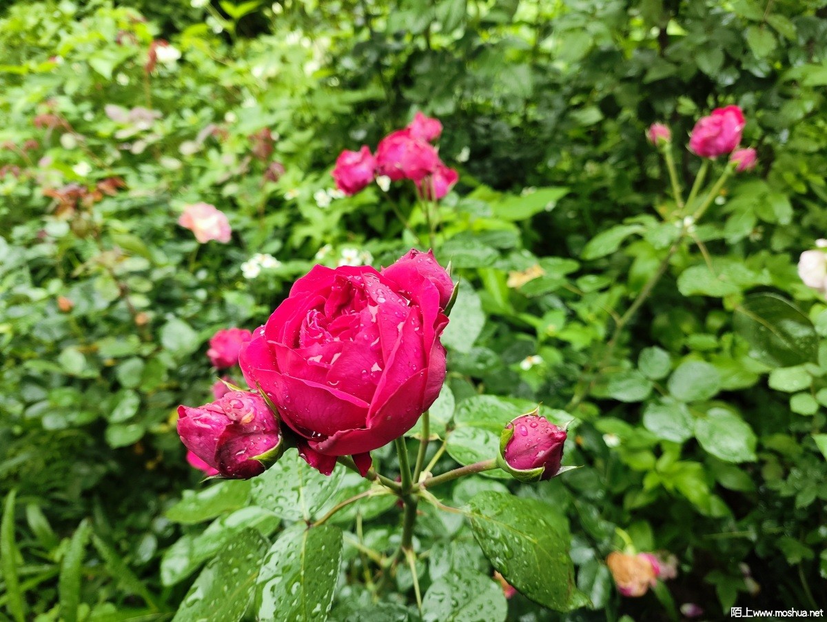MVIMG_20240428_074929.jpg