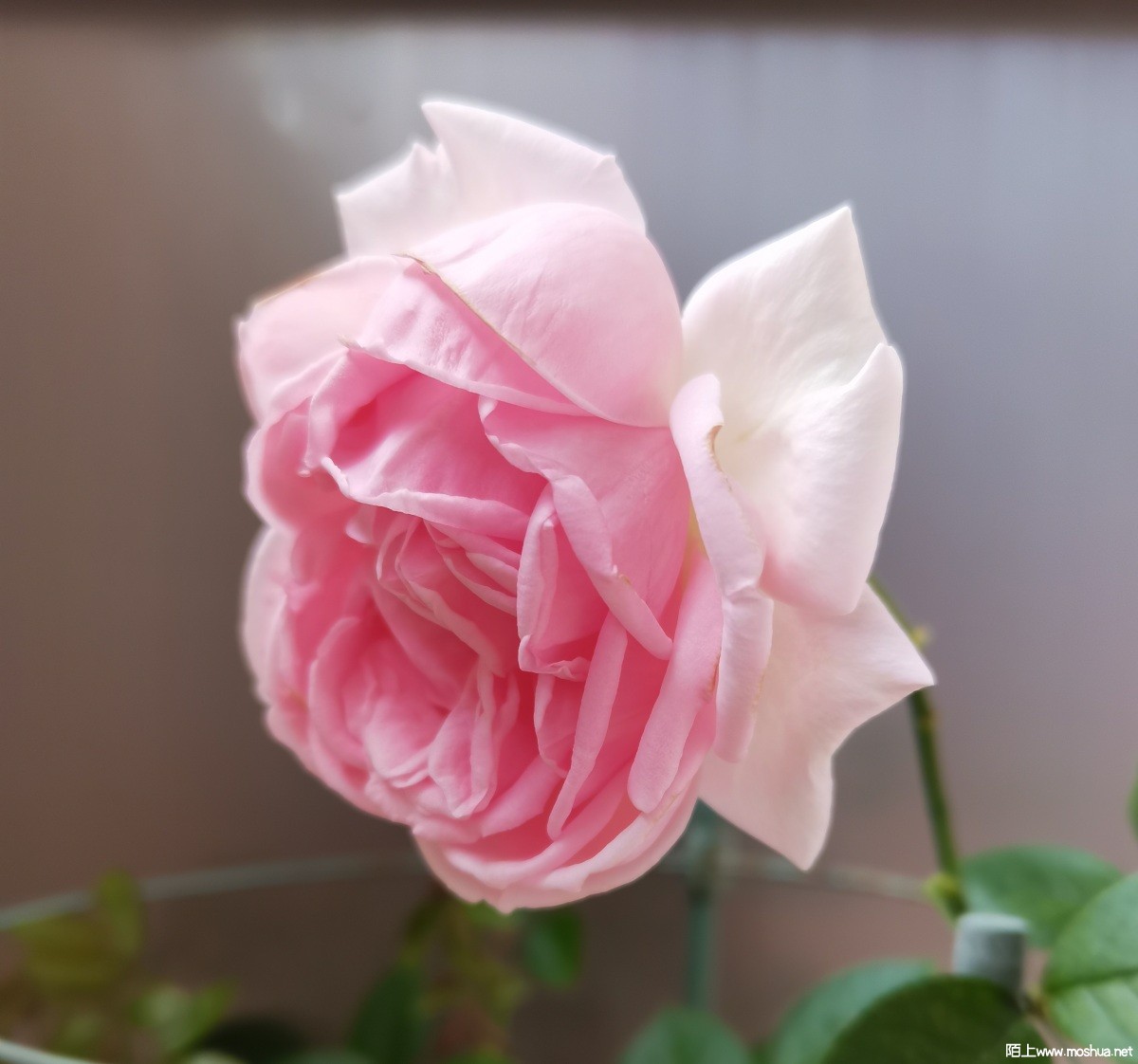 6b14015a93ba8c8b0a857056cd00f5d.jpg