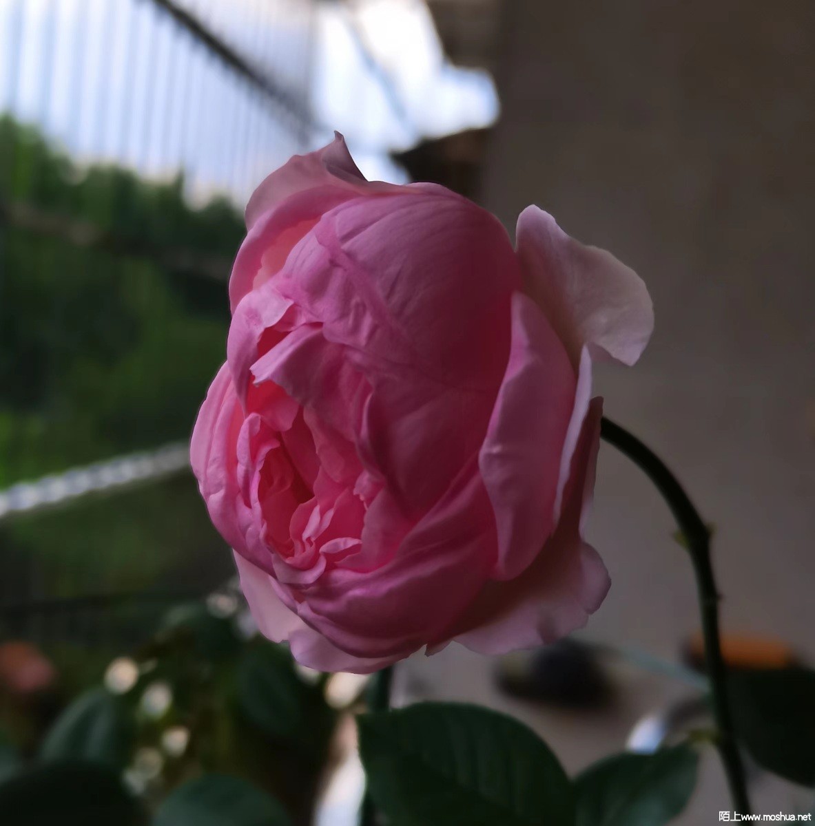 296075e11edcf54ad1c1e9991062d17.jpg