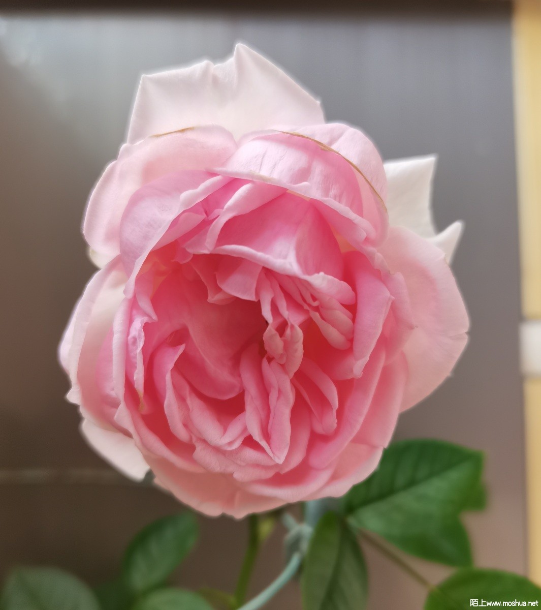d3493496f6076e51d0cb500d74ca938.jpg