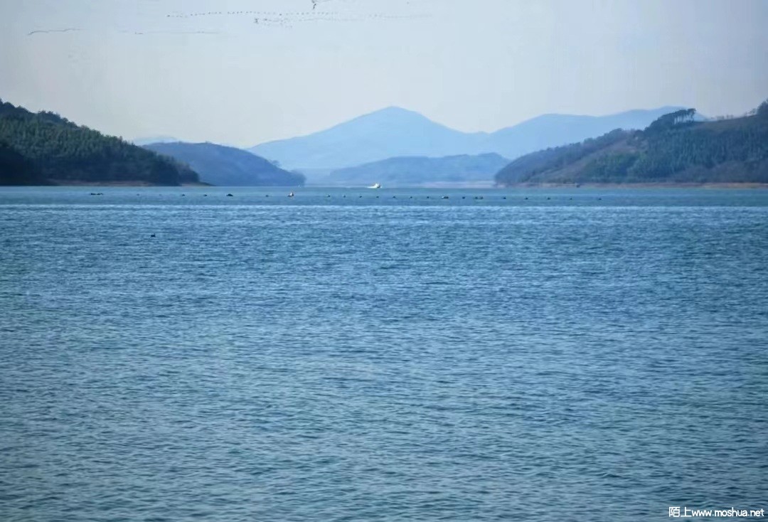 ΢��ͼƬ_20240720181825.jpg