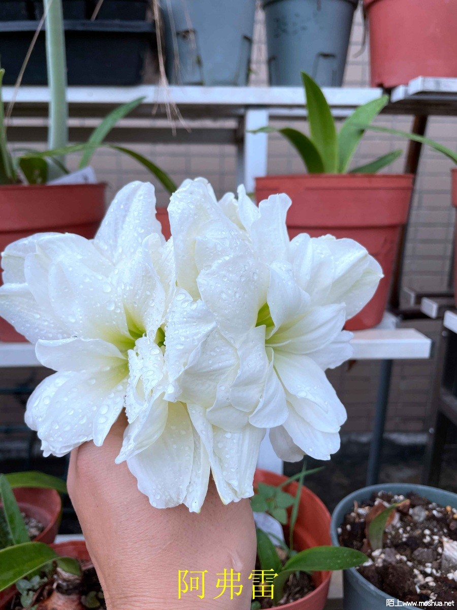 ������240404 (2).JPG