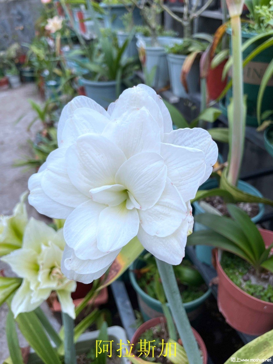 ����˹��240330 (2).JPG