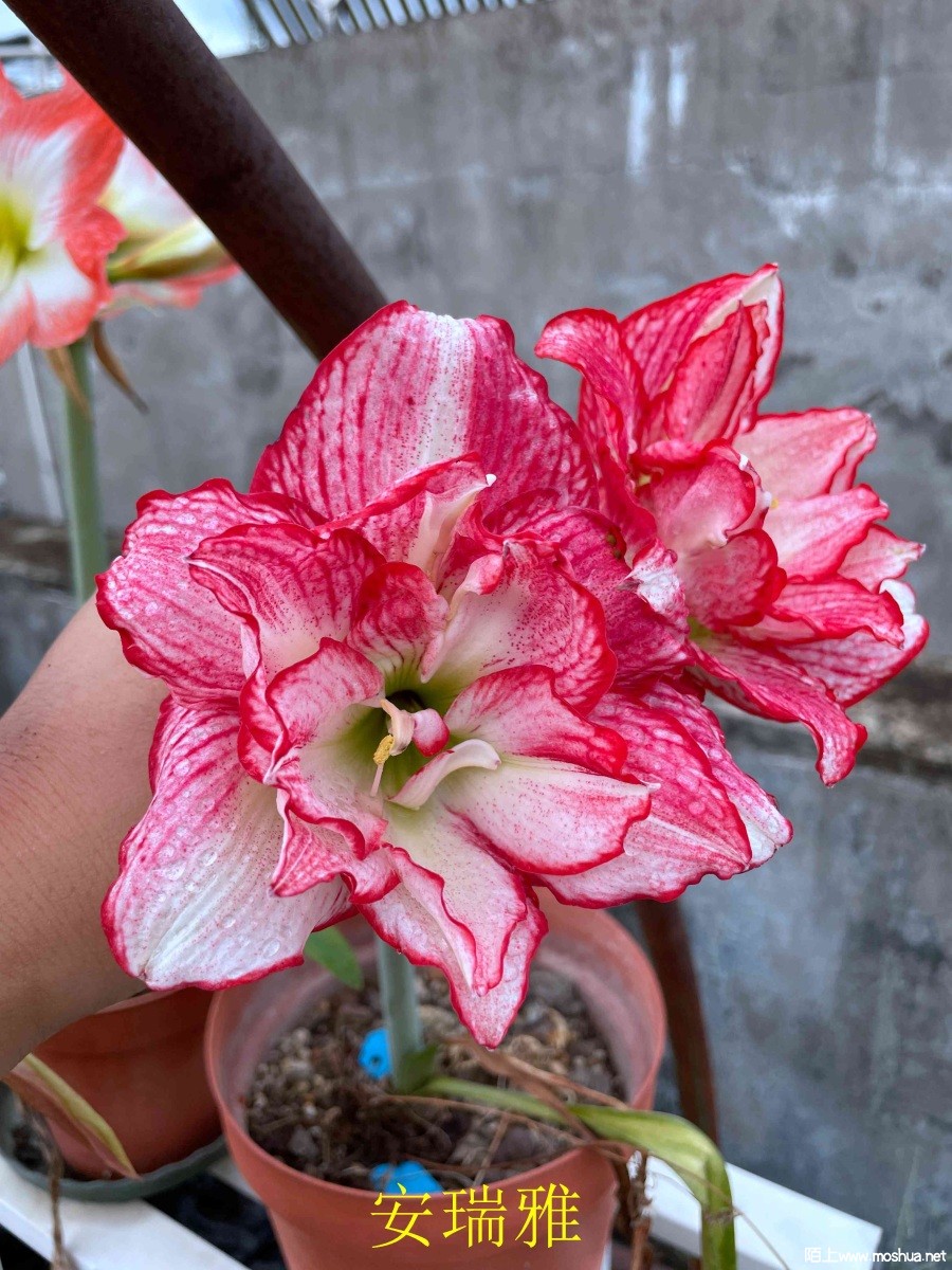 ������240404 (2).JPG