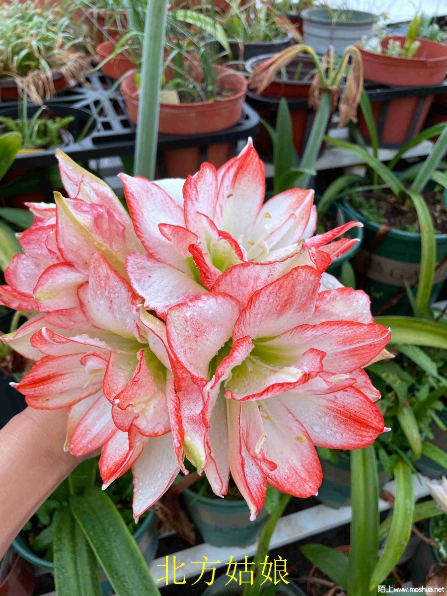 ��������240404 (2).JPG