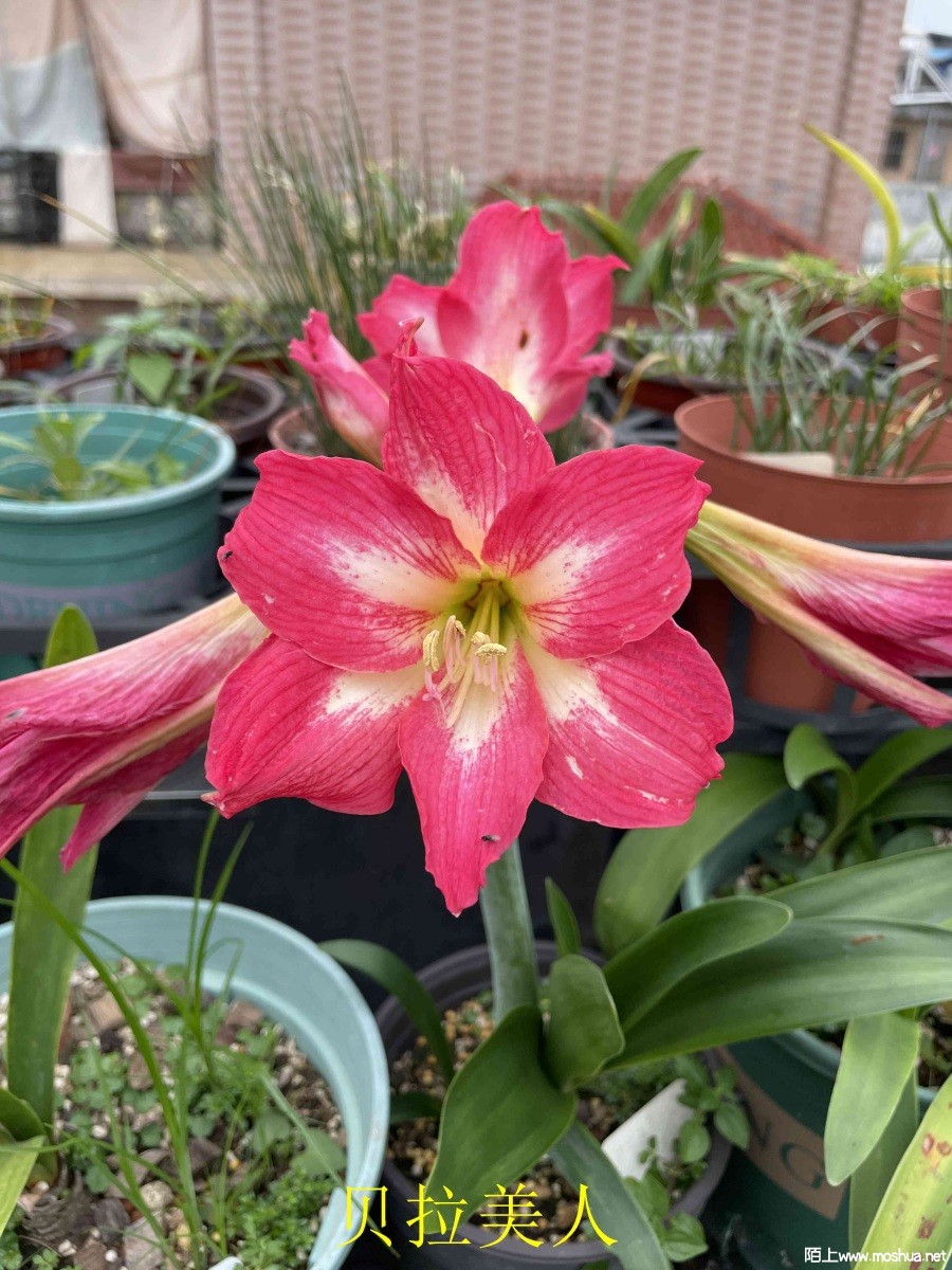 ��������240330 (2).JPG