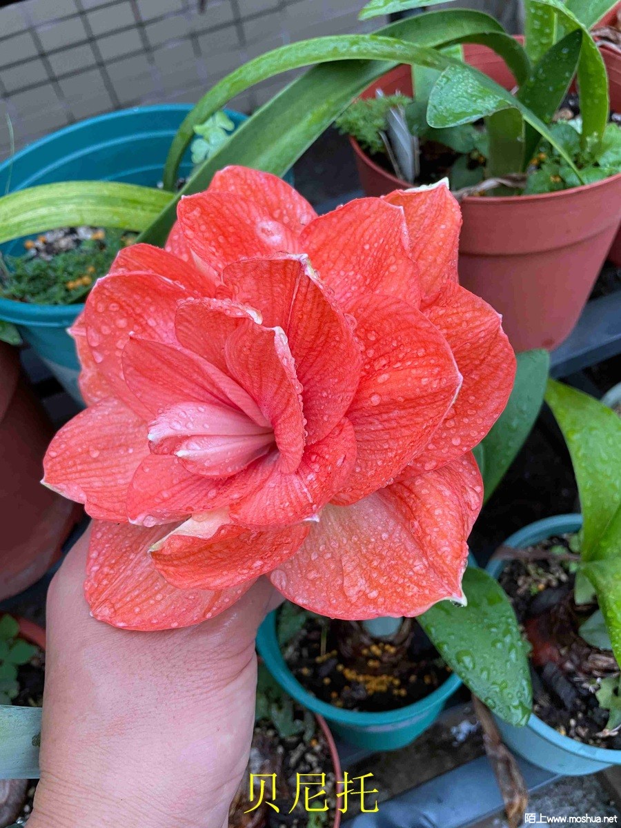 ������240406 (2).JPG