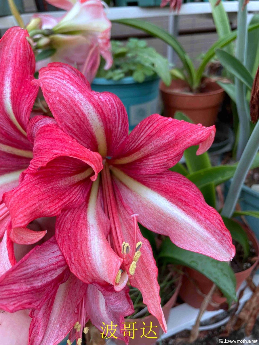 �����240404 (2).JPG